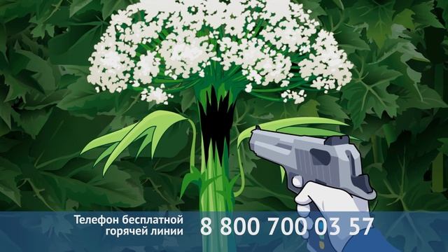 Магнум - экономичный гербицид для борьбы со злостными широколистными сорняками.