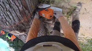 Распил дерева бензопилой STIHL MS 660 от первого лица