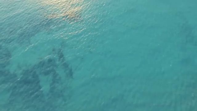 ЗАНЗИБАР. Africa Tanzania Zanzibar смотреть онлайн