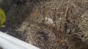 Фактурная штукатурка на фасаде дома! все этапы отделки фасада.Декоративные решения своими руками)