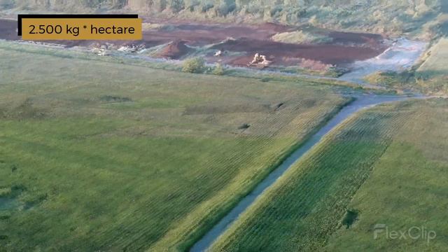 STEVIA NATURE смотреть онлайн