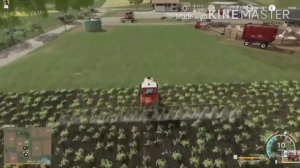 Farming simulator 19: Трактор т16 , Опрыскиваем поля | Опрыскиватель , Fs 19