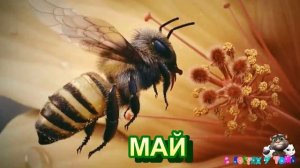 Что такое ВЕСНА? Весенние месяцы, признаки весны, весенние явления природы. Первая серия.