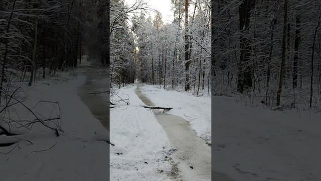 Река @овна около дачи губернатора в Зеленом городе.