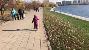 Беговел дети катаются 4 года Puky LR Ride Беговел 1 год Chillafish Quadie Ride balance bike