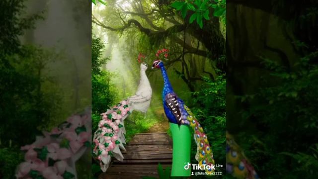 Мой павлиний курятник смотреть онлайн