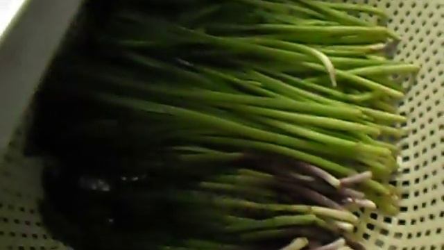 Шоковая заморозка колбы(черемши) дома.