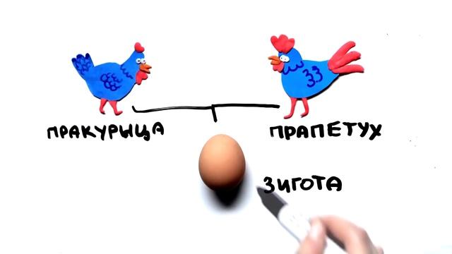 Научпок - Что появилось первым: курица или яйцо?