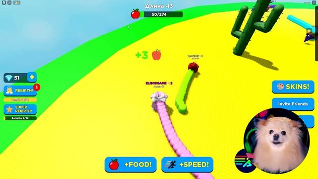 Я САМЫЙ ДЛИННЫЙ ЧЕРВЯЧОК В РОБЛОКС ! ROBLOX смотреть онлайн