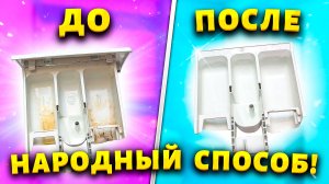 Даже самый грязный лоток отмыть для меня не проблема.  Легко чищу окаменелый порошок, налет, плесень