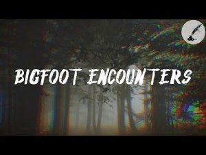 3 True Bigfoot Encounters Reported By Subscribers