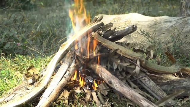 Свинина с пряностями на углях | Хрустящее вкусное и пряное мясо на углях | Как приготовить свинину смотреть онлайн