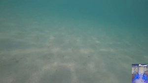 Крым, Евпатория, пляж санатория  Таврия , июль 2020г😍