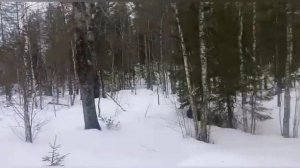 Организация охот хозяйства с нуля