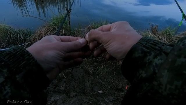 Удилище трещат от такой мощи! Рыбалка на карася весной! смотреть онлайн