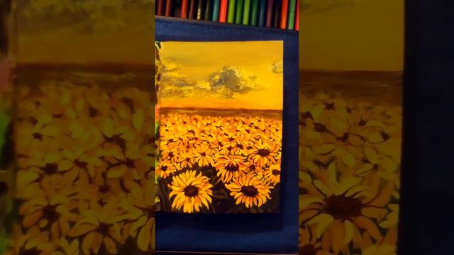 поле подсолнухов. sunflower field