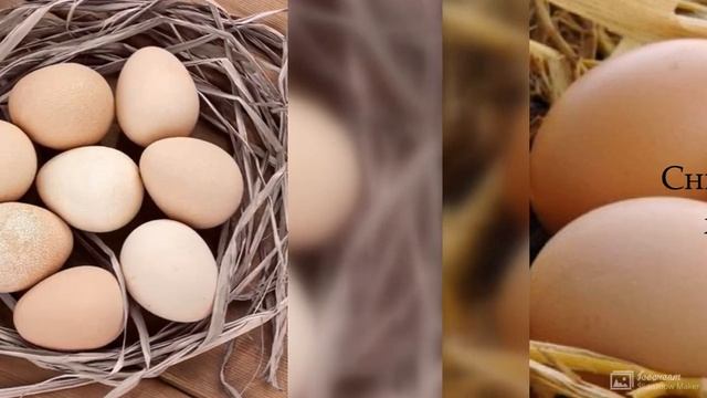 Польза куриного яйца