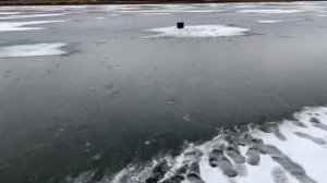 Ловим карася со льда на Межуре