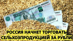 Россия начнет торговать сельхозпродукцией за рубли - Новости сегодня