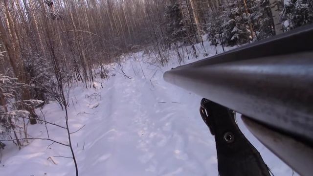 Выжловки отработали! Заяц добыт третьим выстрелом! / Зимняя Охота на Зайца Беляка смотреть онлайн