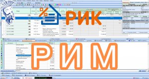 Реализация РИМ в формате ПК РИК