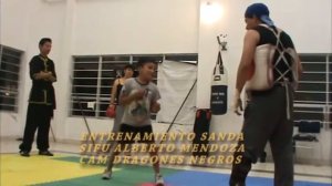 Entrenamiento Sanda Sanshou sifu Alberto Mendoza