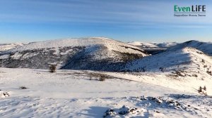 Супер охота на эвенского Уямкана (чубуку).