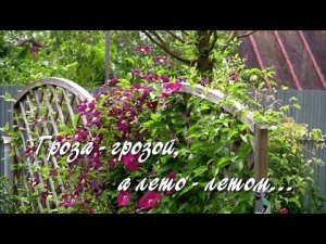 Гроза - грозой, а лето - летом.    Дачные картинки.