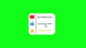 Футаж кнопка подписаться на зелёном фоне - хромакей [19]