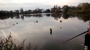 ловля карася в тульской области (с Клин)