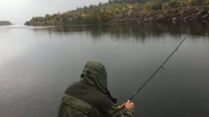 Ловля лососевых. Рыбалка в Заполярье 2017