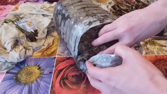 ВЕСЕННЕЕ черенкование ОСЕННИХ черенков РОЗ и ГОРТЕНЗИЙ