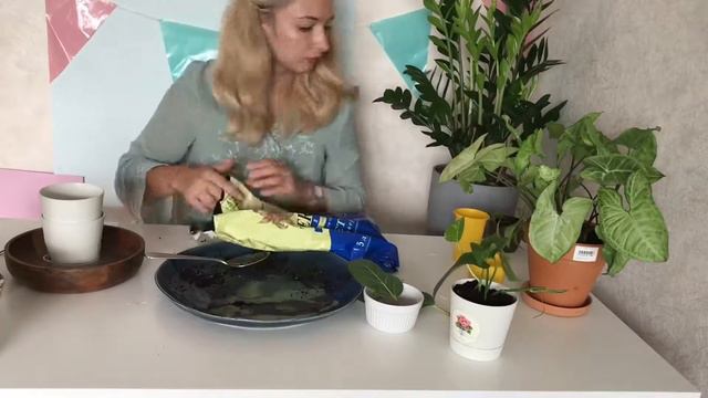 Сажаем крошки-черенки 🌿 смотреть онлайн