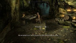 Skyrim - Sneaking and Illusion Level Up Fast Trick
