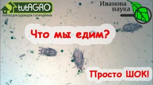 Это ВИДЕО вас ШОКИРУЕТ! Но СМОТРЕТЬ его НАДО! Что я обнаружил в МЕДУ. Расследование Ивановой Науки.