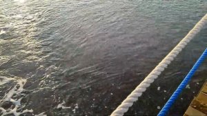 Отель Baia Lara Hotel в городе Белек.