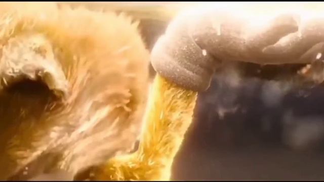 8 августа 2022 г. смотреть онлайн