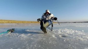 Зимняя рыбалка в Приморском крае. Ловля зубаря. Ловля наваги зимой. зимняя рыбалка 2022-23