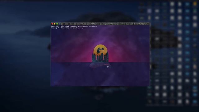 Getting Started With Payara Server - Starting Payara Server смотреть онлайн