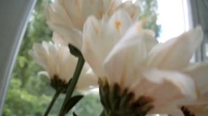 Как окрасить цветы в любой цвет???