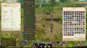 Гайд на самого сильного мага (карателя) для Хазе [ArcheAge 4.7]