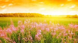 Солнце над городом