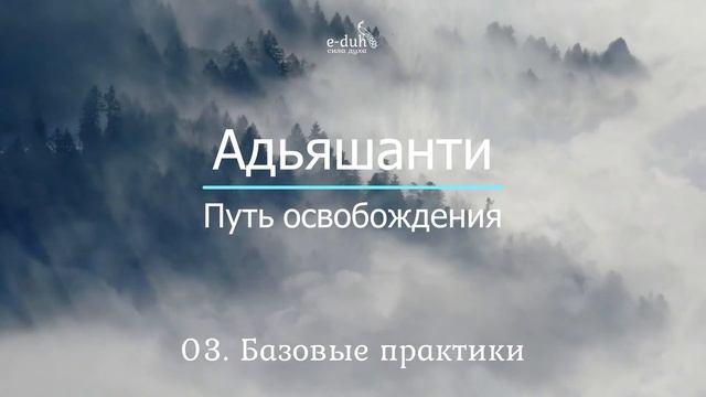 Адьяшанти - 03 Базовые практики. Путь освобождения