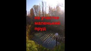 ПРОДАЖА участок ИЖС СПб Пушкинский район