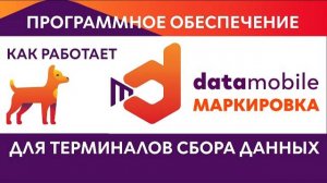 DataMobile Маркировка