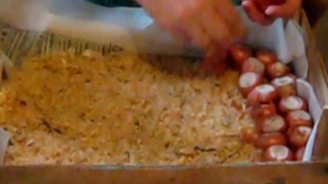 ЛУК КРУГЛЫЙ ГОД!!! ПОСАДКА ЛУКА В ОПИЛКИ. МОБИЛЬНЫЕ ГРЯДКИ. СУПЕР УРОЖАЙНОСТЬ!!! смотреть онлайн