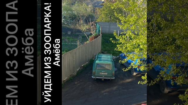 Амёба-УЙДЕМ ИЗ ЗООПАРКА! смотреть онлайн