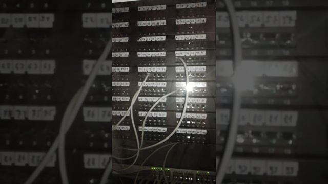 Современный подвал #умныйдом смотреть онлайн