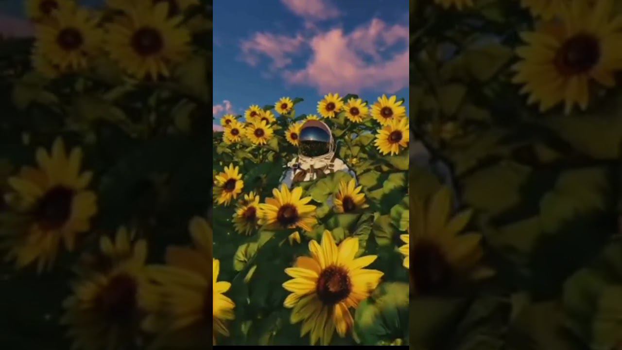 и на Марсе будут яблони цвести #космос #марс #мечтысбываются