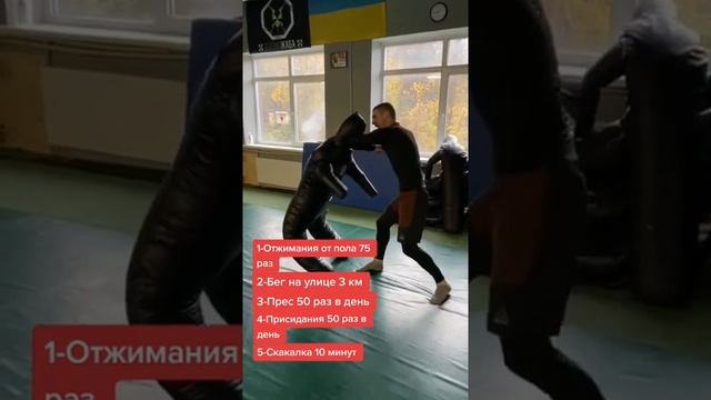 Тренировка,техника бокса,тренировка в зале смотреть онлайн